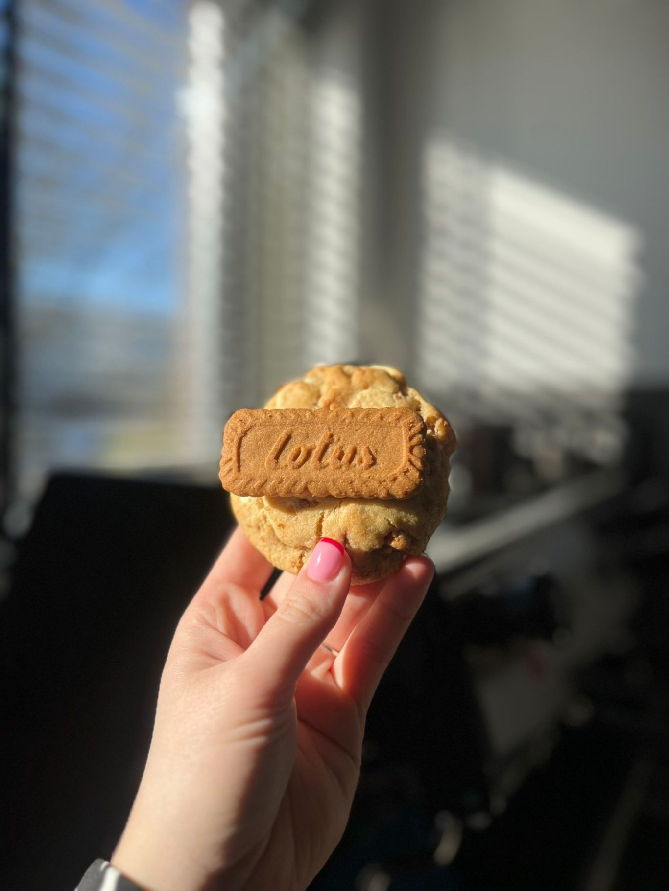 Stuffed Lotus witte chocolade cookie